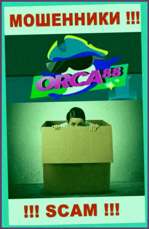Начальство Orca88 Com засекречено, у них на официальном сайте этой инфы нет