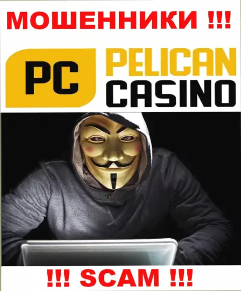 Лица управляющие компанией Pelican Casino решили о себе не афишировать