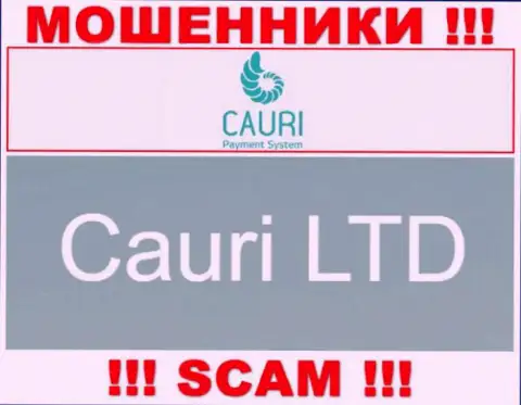 Не стоит вестись на сведения о существовании юридического лица, Каури Ком - Cauri LTD, в любом случае облапошат