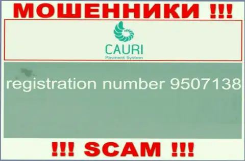 Регистрационный номер, который принадлежит преступно действующей конторе Каури: 9507138
