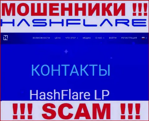 Сведения о юридическом лице internet-мошенников Хэш Флэр