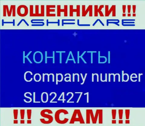 Регистрационный номер, под которым зарегистрирована компания ХэшФлэер: SL024271