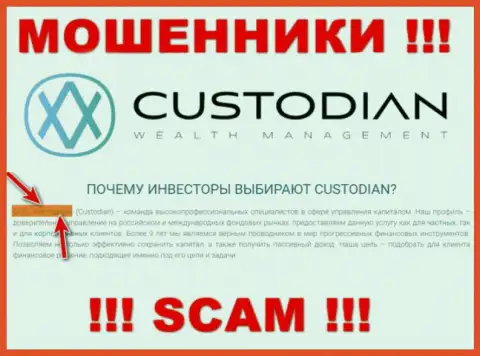 Юр. лицом, управляющим интернет мошенниками Кустодиан, является ООО Кастодиан
