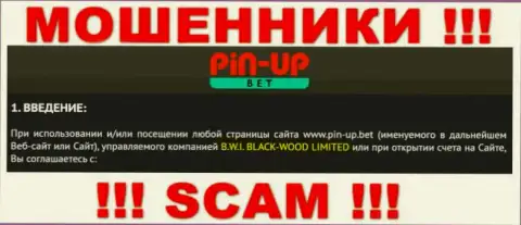 Юридическое лицо конторы Pin Up Bet - это B.W.I. BLACK-WOOD LIMITED, инфа позаимствована с официального сайта