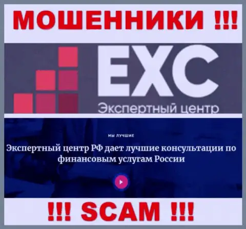 Экспертный-Центр РФ занимаются сливом наивных клиентов, а Консалтинг только ширма