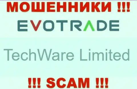 Юридическим лицом Evo Trade считается - TechWare Limited