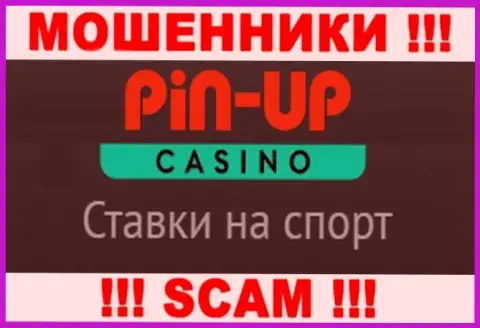 Основная работа ПинАпКазино - это Casino, осторожно, промышляют неправомерно