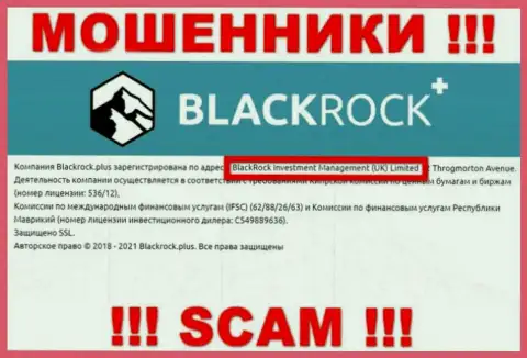 Владельцами BlackRockPlus оказалась организация - BlackRock Investment Management (UK) Ltd