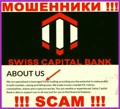 Форекс - в указанном направлении предоставляют свои услуги интернет мошенники Swiss Capital Bank