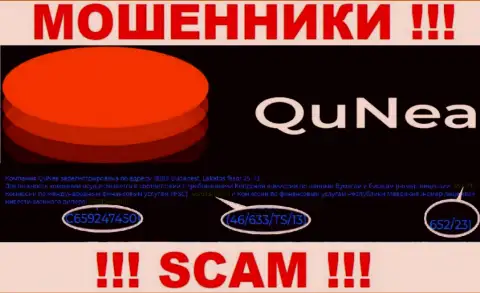 Жулики QuNea не скрывают свою лицензию, опубликовав ее на веб-сервисе, однако будьте начеку !!!