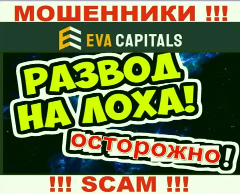 На связи воры из Eva Capitals - БУДЬТЕ ОЧЕНЬ БДИТЕЛЬНЫ