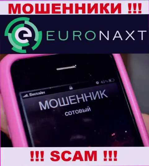Вас хотят развести на деньги, EuroNaxt Com ищут очередных лохов