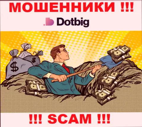 DotBig Com действует только лишь на ввод денежных средств, посему не ведитесь на дополнительные вложения