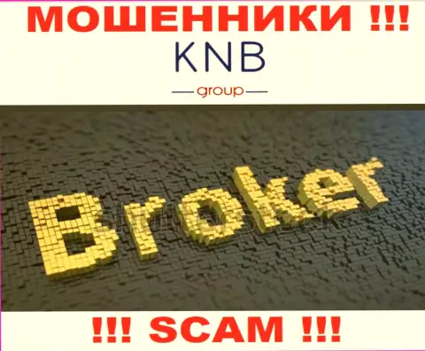 Область деятельности противоправно действующей компании KNB Group Limited это Broker