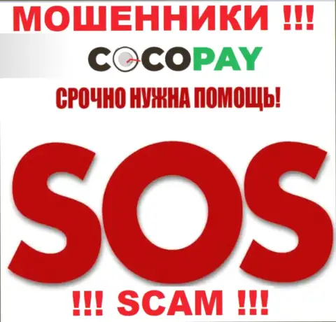 Можно попробовать забрать финансовые активы из организации CocoPay, обращайтесь, расскажем, как действовать