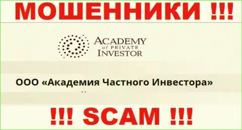 ООО Академия Частного Инвестора это руководство бренда Academy of Private Investor