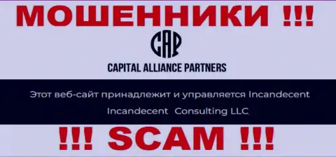 Юр. лицом, владеющим шулерами Capital Alliance Partners, является Consulting LLC
