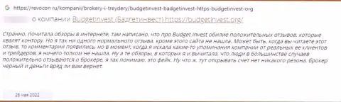 Автор объективного отзыва утверждает, что Budget Invest - это ВОРЫ !!! Взаимодействовать с которыми довольно опасно