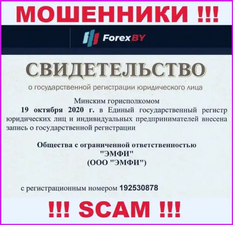 Номер регистрации мошеннической компании ForexBY Com - 192530878