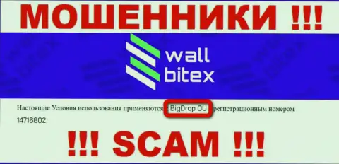 WallBitex - это РАЗВОДИЛЫ !!! Руководит данным лохотроном БигДроп ОЮ