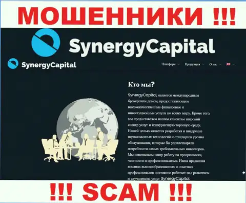 Что касается сферы деятельности Synergy Capital (Брокер) - это несомненно лохотрон