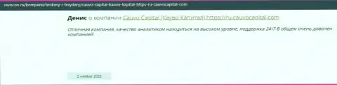 Организация КаувоКапитал Ком описана в отзыве на веб-портале Ревокон Ру