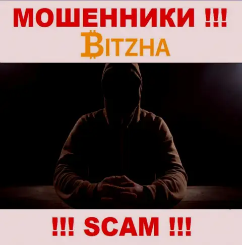 Перейдя на интернет-сервис мошенников Bitzha Вы не сможете найти никакой информации о их руководстве