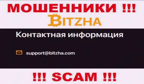 Электронный адрес ворюг Bitzha24, информация с официального веб-портала