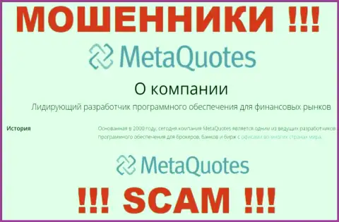 Разработка ПО - именно в указанном направлении предоставляют услуги интернет-мошенники MetaQuotes