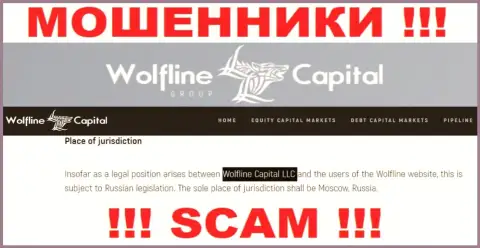 Юридическое лицо компании Wolfline Capital - это ООО Волфлайн Капитал