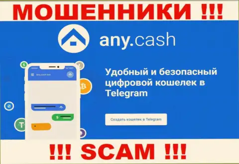 Ани Кэш - это интернет мошенники, их деятельность - Криптовалютный кошелёк, направлена на прикарманивание денежных активов доверчивых людей