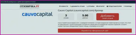 Дилинговая компания Кауво Капитал, в краткой обзорной статье на веб-ресурсе Otzovichka Ru