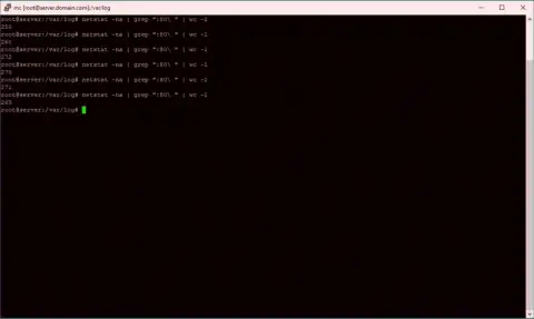 Количество коннектов, висящих на сетевом порту сервера, на котором хостится wssolution net