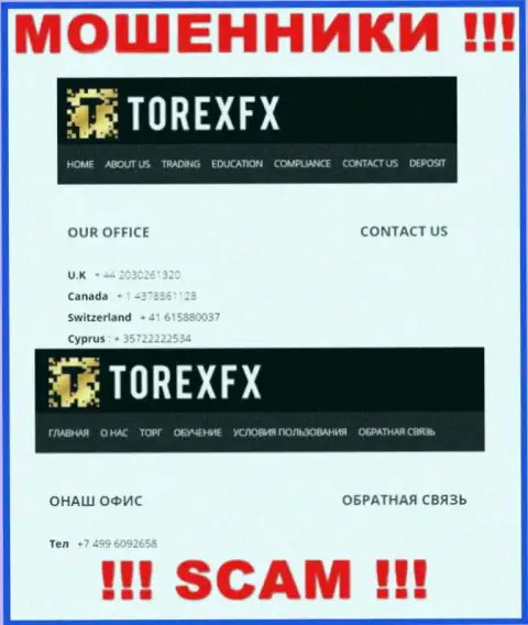В арсенале у internet мошенников из TorexFX есть не один телефонный номер