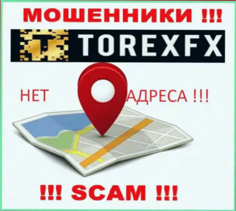 TorexFX не представили свое местоположение, на их онлайн-ресурсе нет инфы о адресе регистрации